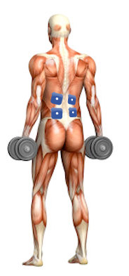 Stimolazione dei muscoli lombari Stimolazione dei muscoli lombari
